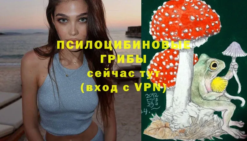 Галлюциногенные грибы Psilocybine cubensis  Кропоткин 